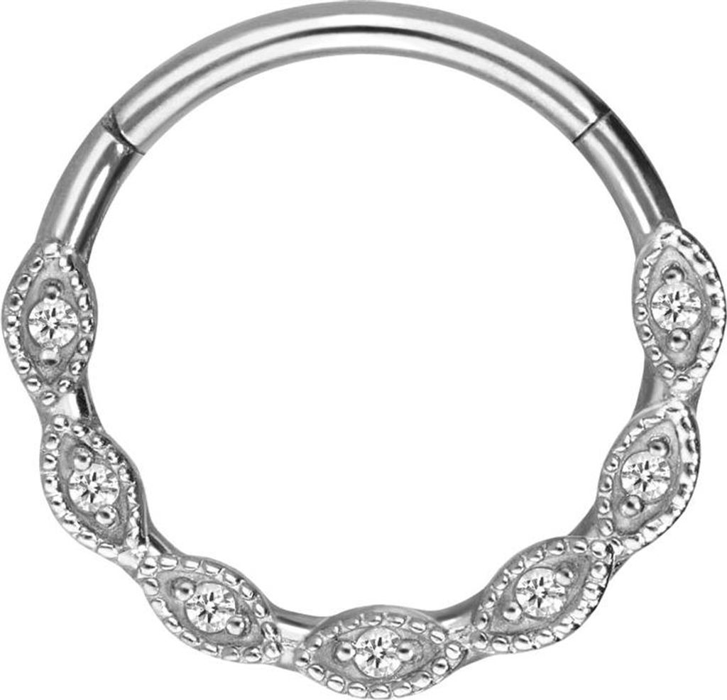 Ohrpiercing, Nasenpiercing, Septum Piercing Chirurgenstahl Segmentring Clicker EINGEFASSTE KRISTALLE Silber Innendurchmesser: 12 mm