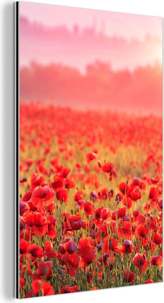 MuchoWow Wanddekoration Metall Metallbild Wandkunst 80x120 cm Blumen - Mohn - Rot - Blumenfeld MuchoWow Aluminium Gemälde - Bilder