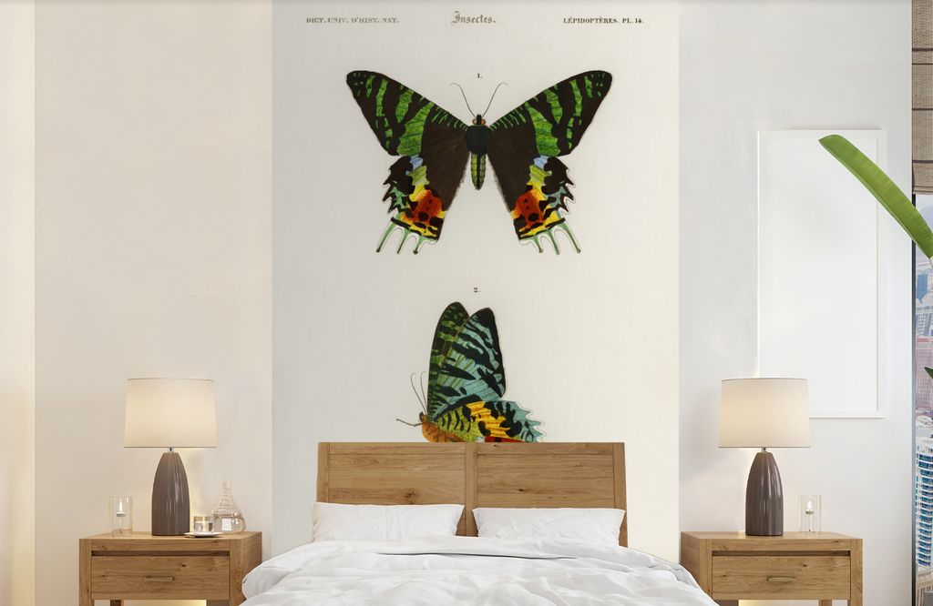 MuchoWow Fototapete für Wohnzimmer oder Schlafzimmer Wandtapete Vinyl Motivtapete Schmetterling - Vintage - Insekten - 150x240 cm - Tapeten