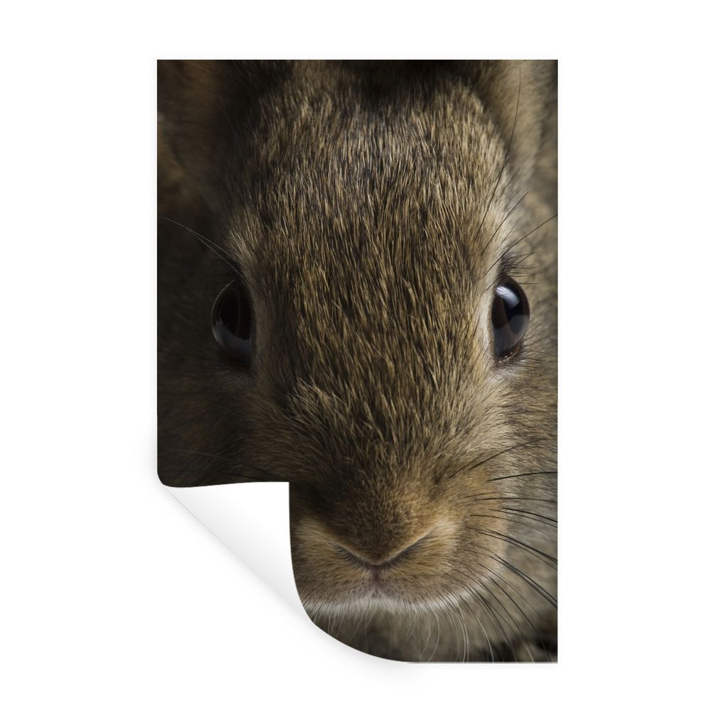 MuchoWow Wandtattoo Wandsticker Wandaufkleber Kaninchen - Tier - Augen 60x90 cm Selbstklebend und Repositionierbar - Sticker - Dekorfolie