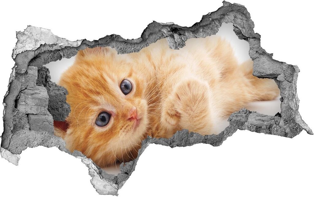 Selbstklebender Loch-3D-Aufkleber 95x73 cm rote Katze