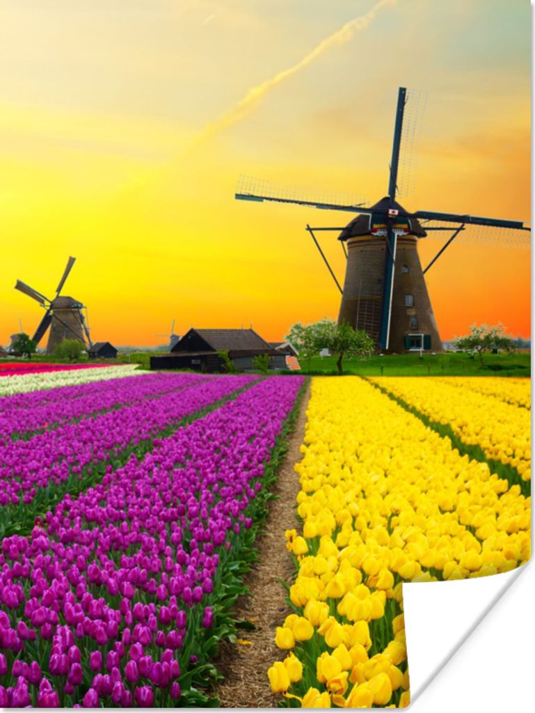 MuchoWow Poster Windmühle - Tulpen - Blumen - Frühling 30x40 cm - Wandplakat - Poster Kinderzimmer