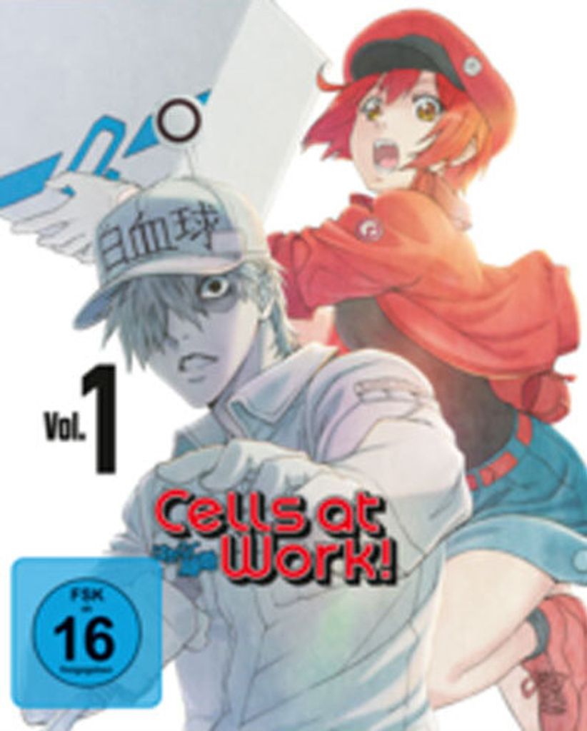Cells at Work!