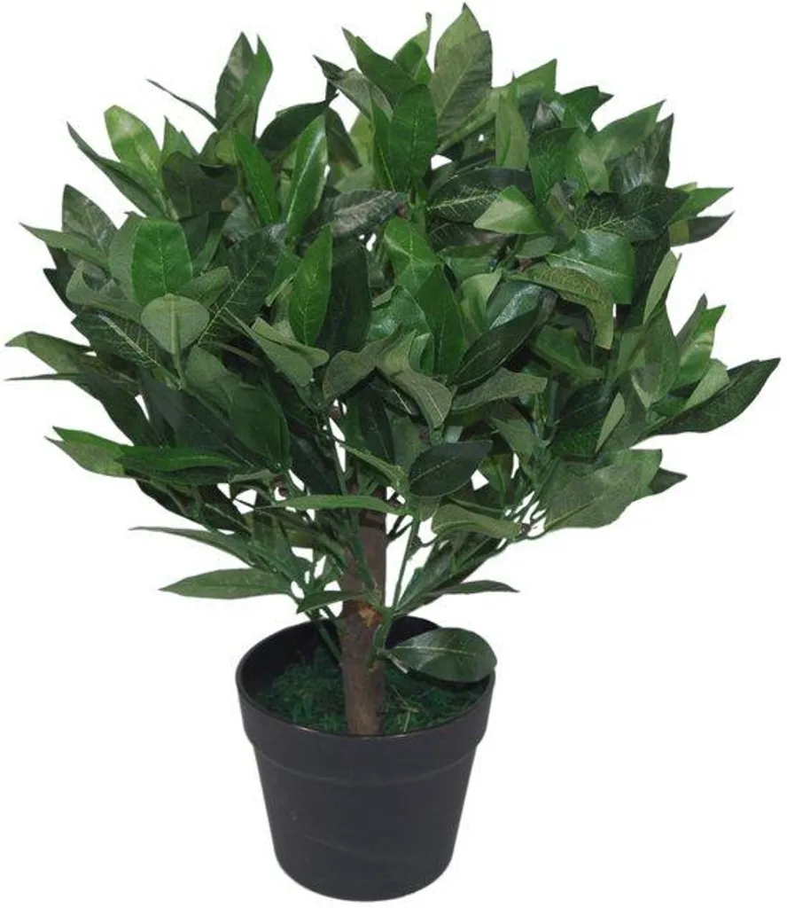 Petit laurier artificiel 50 cm vert pour déco de bureau et appartement