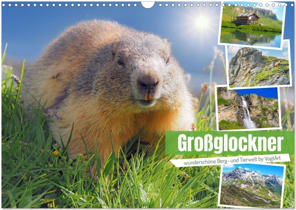Großglockner wunderschöne Berg- und Tierwelt (Wandkalender 2026 DIN A3 quer), CALVENDO Monatskalender