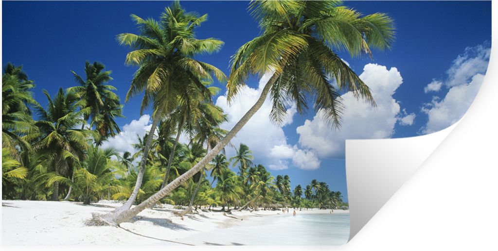 MuchoWow Wandtattoo Wandsticker Wandaufkleber Strand - Palme - Tropisch 160x80 cm Selbstklebend und Repositionierbar - Sticker - Dekorfolie