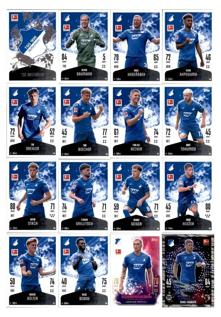 Cartes à collectionner Topps Bundesliga TSG Hoffenheim 2025