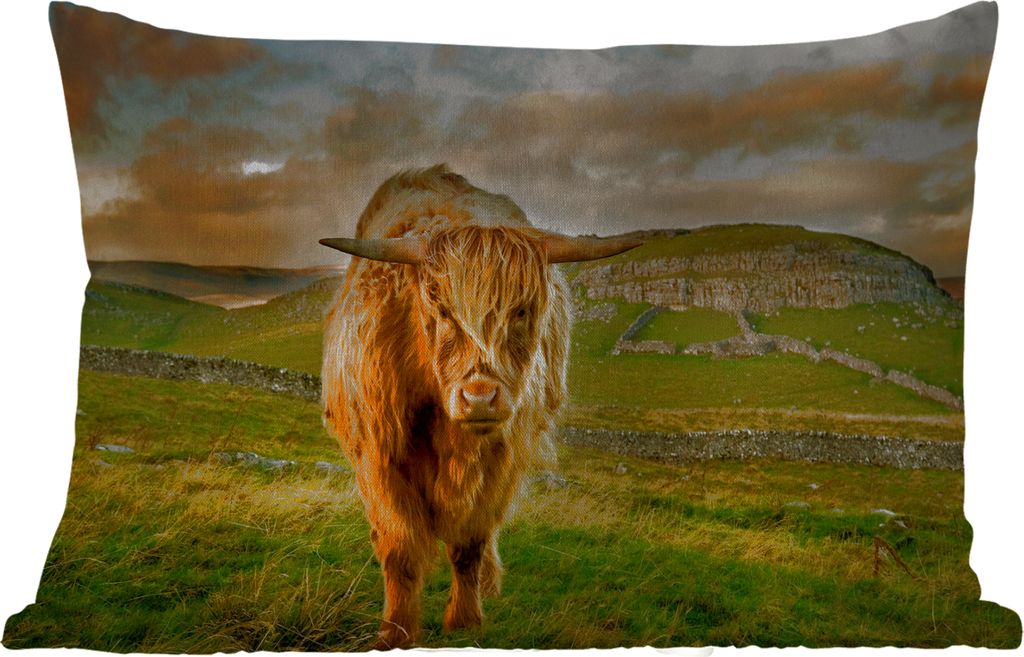 MuchoWow Outdoor Kissen - Schottisches Hochlandrind - Gras - Berg - 60x40 cm - Wetterfest - Lounge Kissen - Zierkissen - Kissen für Innenräume