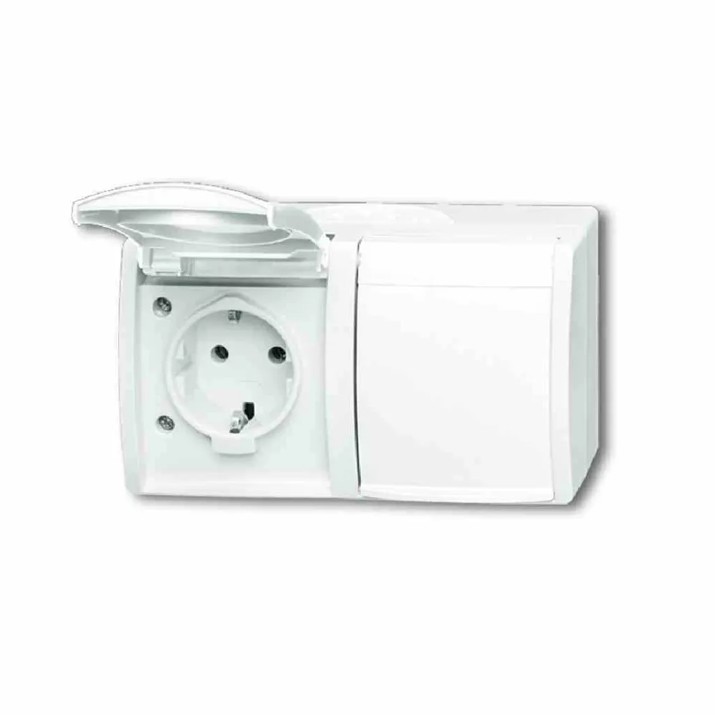Prise de courant Busch-Jaeger Schuko 2f avec couvercle rabattable IP44
