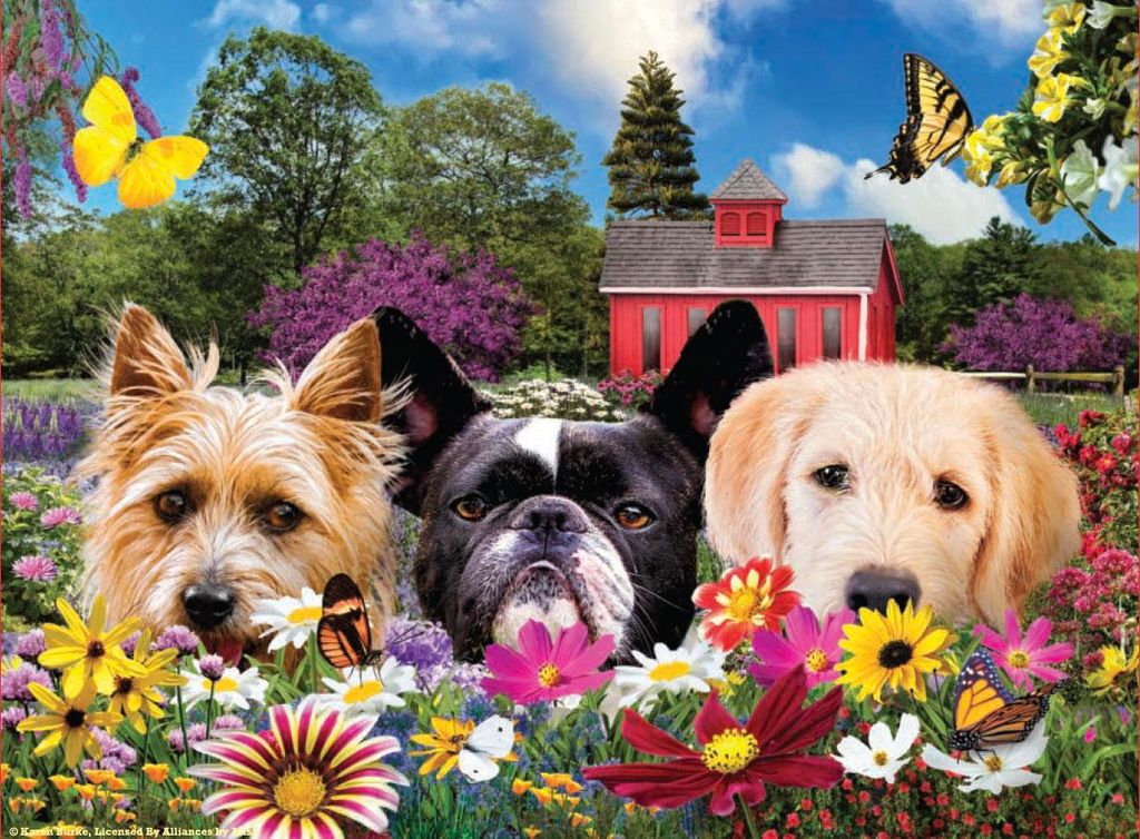 SunsOut Puzzle Hallo - 500 Teile Puzzle