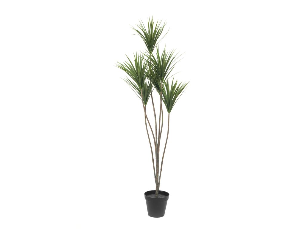 EUROPALMS Yucca Palme, Kunstpflanze, 130cm (82511552)