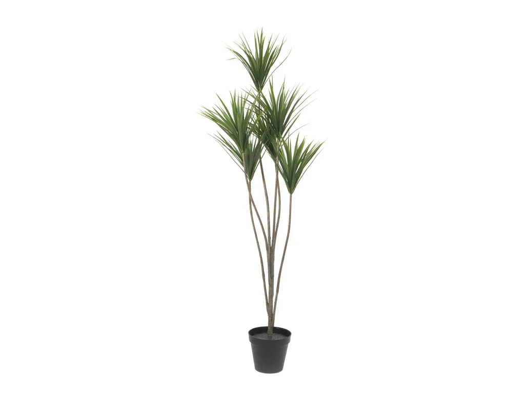 EUROPALMS Palmier Yucca plante artificielle 130cm avec tronc naturel