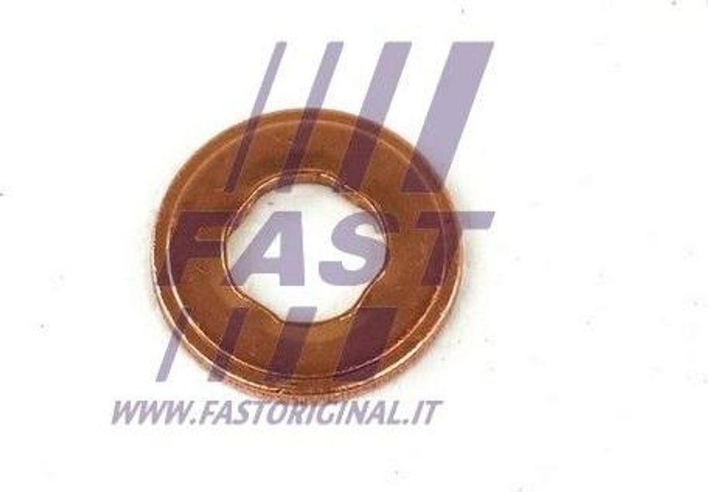 FAST FT49847 Dichtung, Injektorhalter OE 13532247156 kompatibel mit Mito, 1er E81, 1er E87, 1er F20, 1er F21, 1er F40, 1er E88, 1er E82, 2er F45, 2...