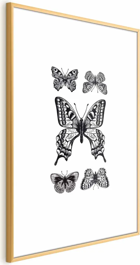 Stampa Botanica Cinque Farfalle 40x60 con Cornice Dorata Pregiata