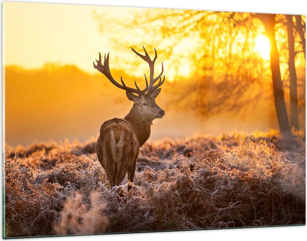 Bilder auf glas - Herbst landschaft natur blatt - 120x80cm - Glasbilder - Wandbilder - Kunstdruck - zum Aufhängen bereit - Wanddekoration aus Glas...