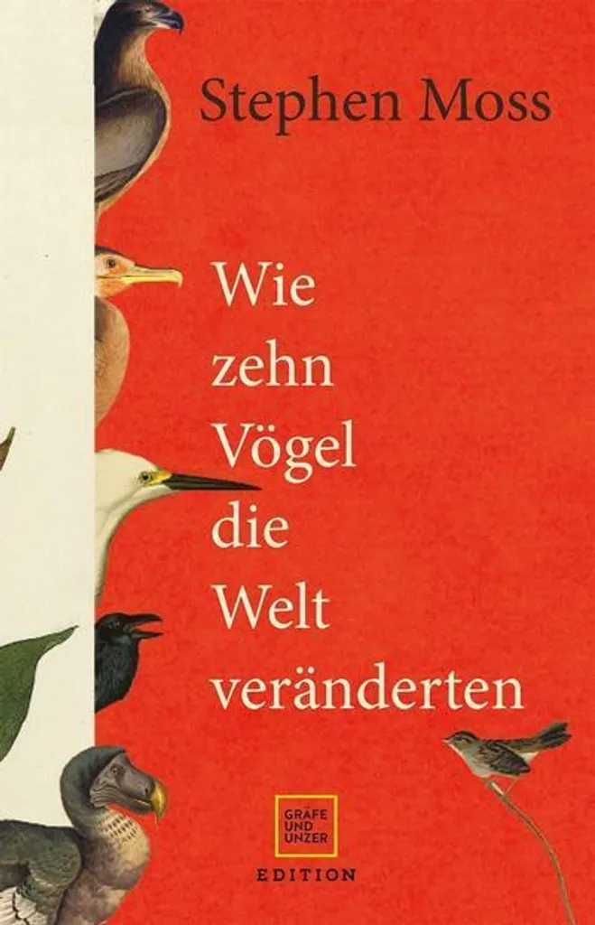 Comment dix oiseaux ont changé le monde livre ornithologie captivant