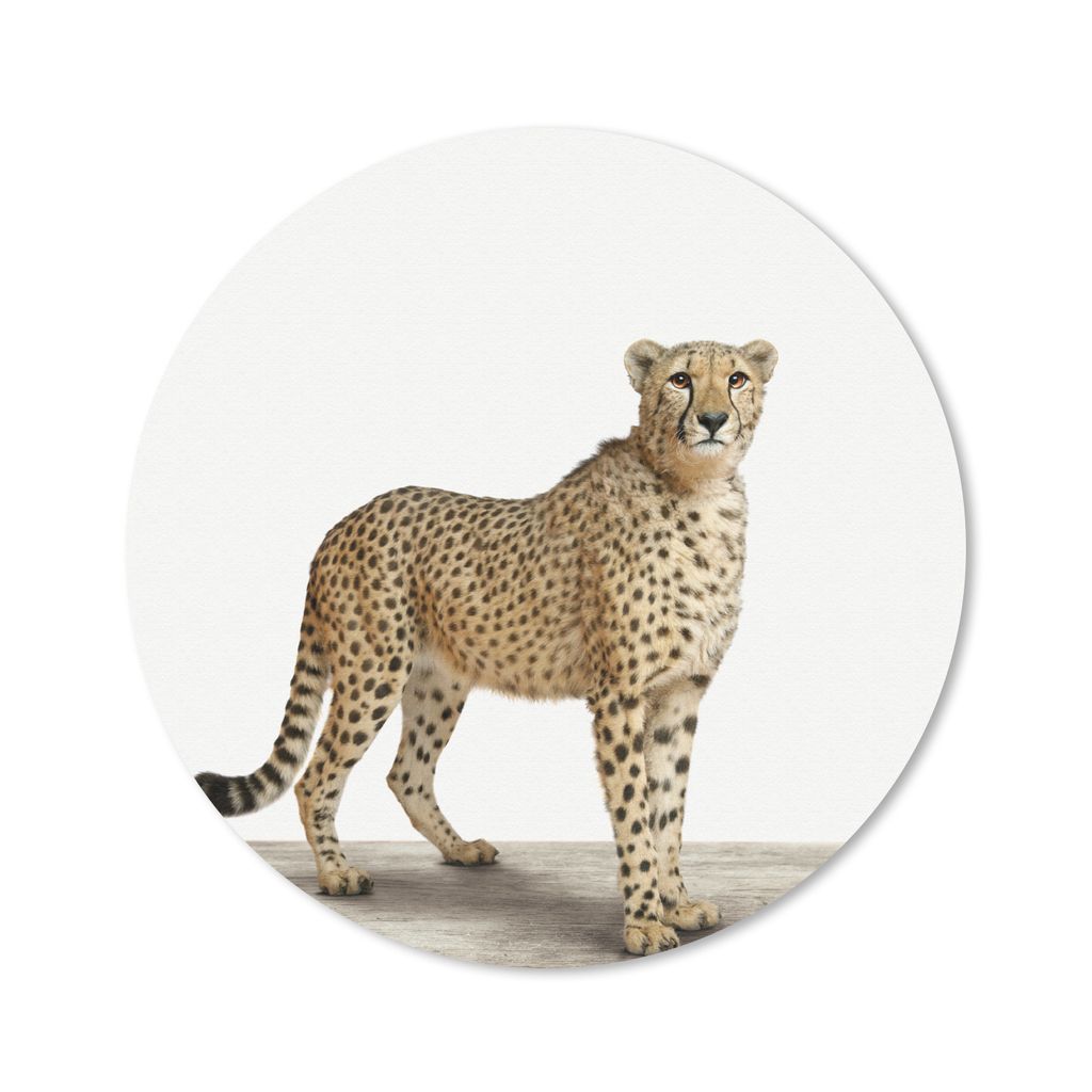 MuchoWow Mauspad Mousepad Leopard - Tiere - Weißer Hintergrund - Kinder - Jungen - Mädchen 20x20 cm - Mousepads - Maus Mat - Pad - Mausunterlag...