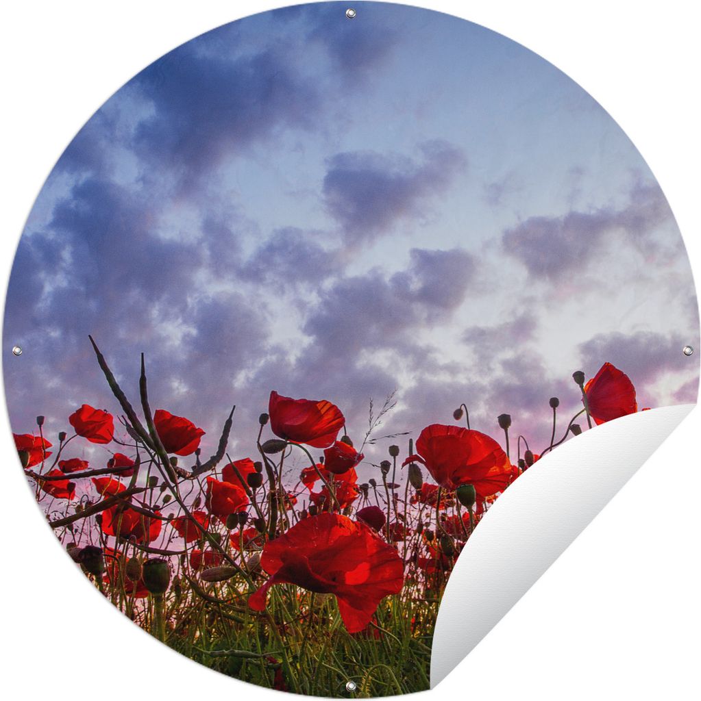 MuchoWow Gartenposter Outdoor-Poster Rund Mohnblumen - Sonnenuntergang - Frühling Ø 150 cm Gartendeko Rundes Poster draußen