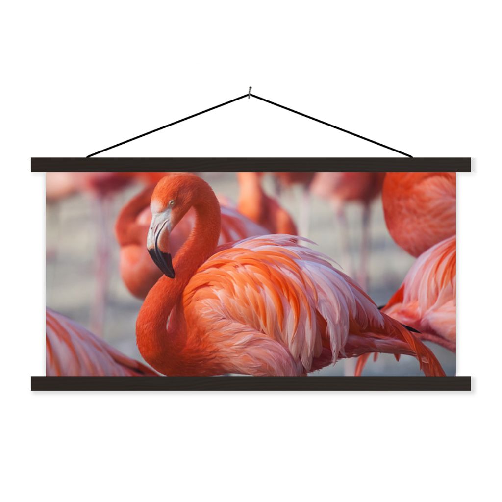 MuchoWow Textilposter Flamingo - Vogel - Tiere - Rosa 150x75 cm mit schwarzem Rahmen - Posterleiste