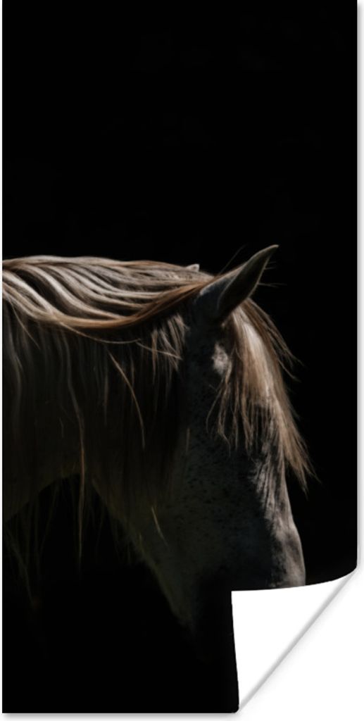 MuchoWow Poster Pferd - Tiere - Weiß 20x40 cm - Plakat - Foto