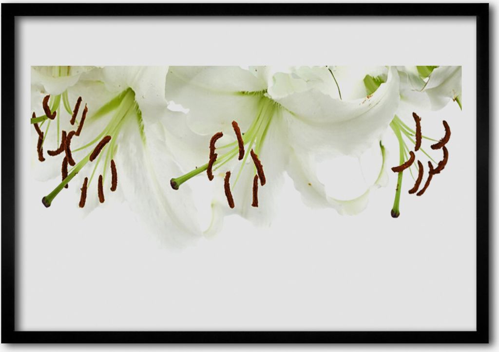 Bild 100x70 MDF-Rahmen Wandkunst Blumen Pflanzen Natur