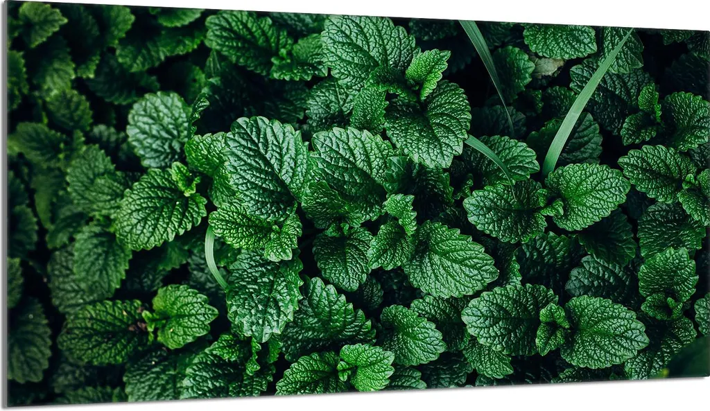 Piastra Copripiano Cottura 90x52 Vetro Temperato Verde Melissa | Tagliere