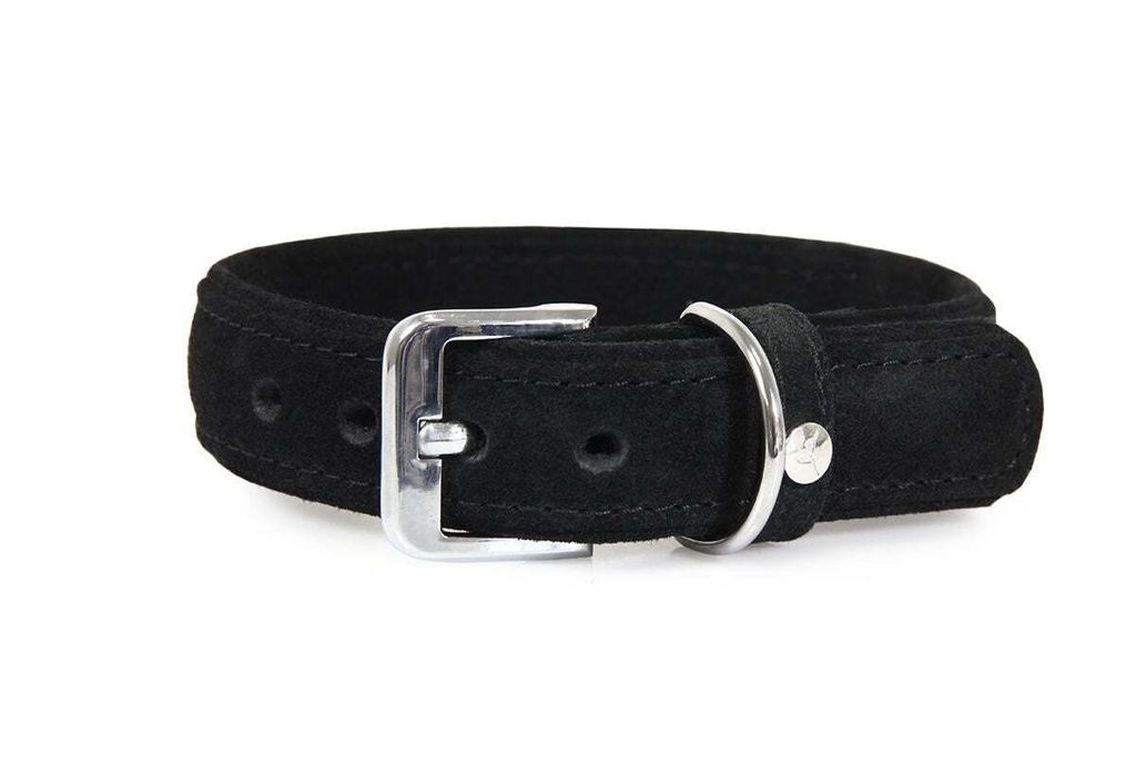 Das Lederband Hundehalsband Toronto schwarz/schwarz, Länge: 40 cm / Breite: 25 mm