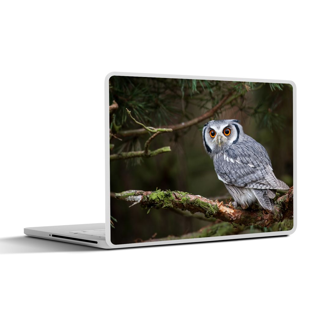 MuchoWow Laptop Aufkleber Sticker Cover Eule - Vogel - Äste - Natur 32.5x23.5 cm - Sticker für Laptop - Selbstklebend