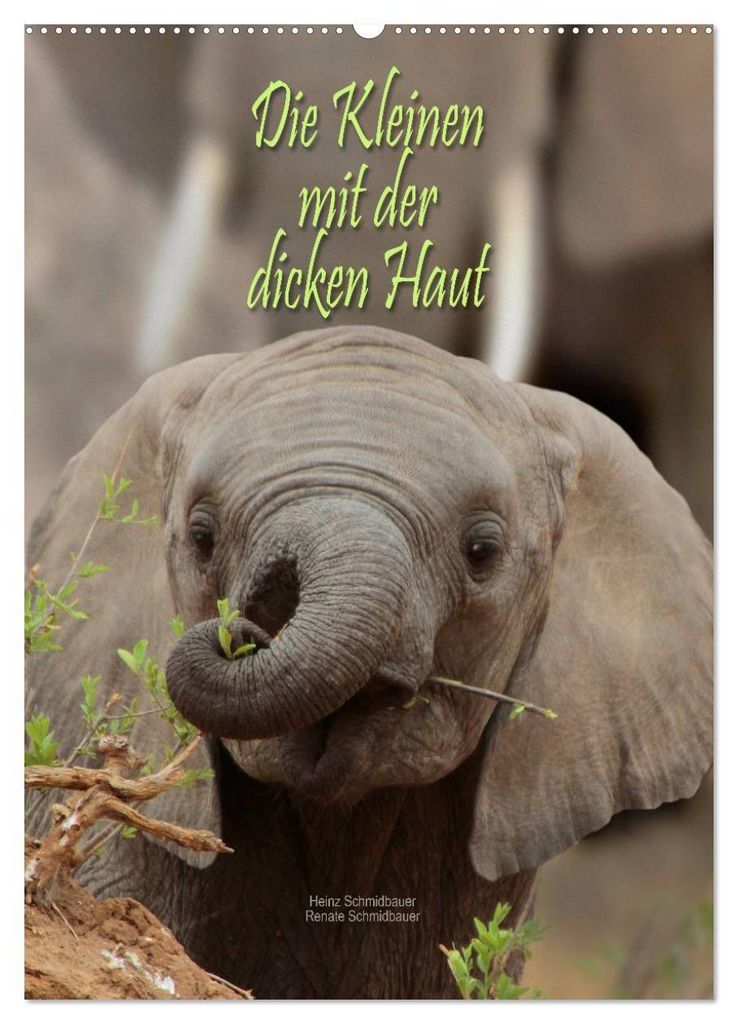 Die Kleinen mit der dicken Haut (Wandkalender 2027 DIN A2 hoch), CALVENDO Monatskalender
