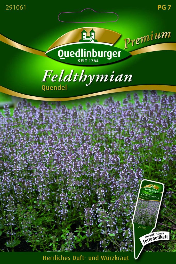 Feldthymian, Quendel Produktbild 
