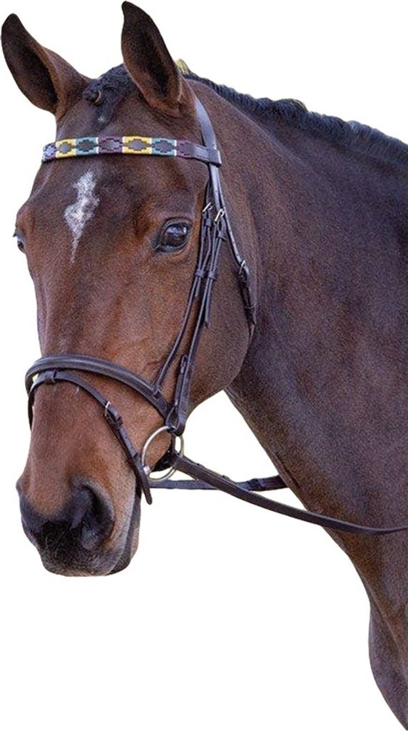 Blenheim - Pferde-Stirnriemen, Leder, Polo ER195 (Cob) (Violett/Dunkelgrün/Gelb)