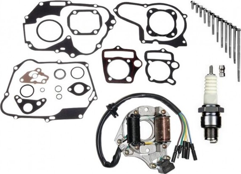 LICHTMASCHINE STATOR SCHRAUBENSATZ KIT Set für LIFAN LF110ST China Quad 110 4T