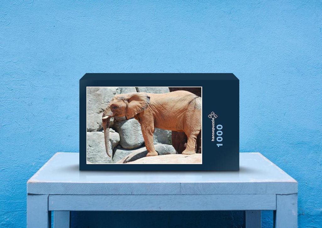 hansepuzzle 85915 - Elefant Puzzle, 1000 Teile, Tierwelt, 60,0 x 46,0cm mit hochwertiger Aufbewahrung, Kartonbox und wiederverschließbarem Beutel