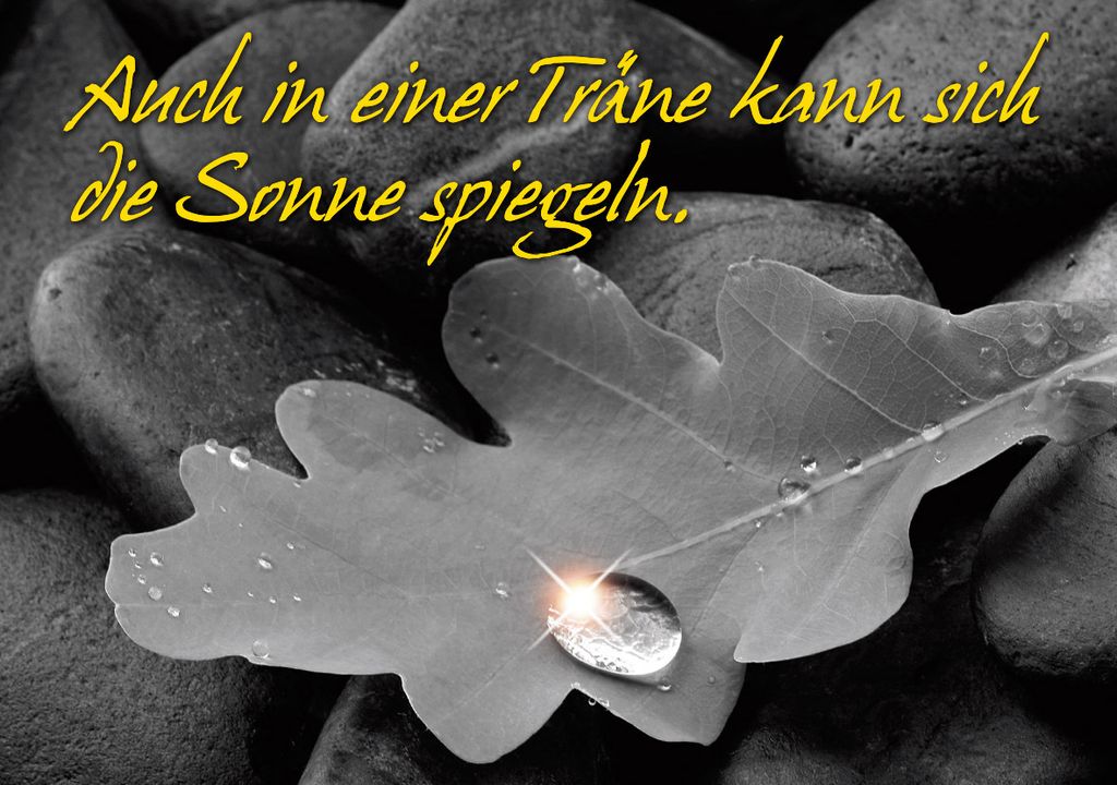 DenkARTen - Postkarte im Format 15 x 10cm - Sprüche - Fotokarten