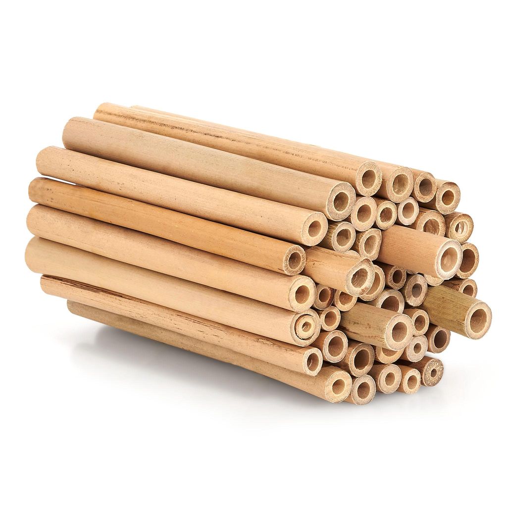 BEESI Bambusröhrchen für Insektenhotel 100 Stück 10cm Länge I Insektenhaus für Wildbienen I Wildbienenhotel Nisthülsen Bienenhotel I Füllmat...