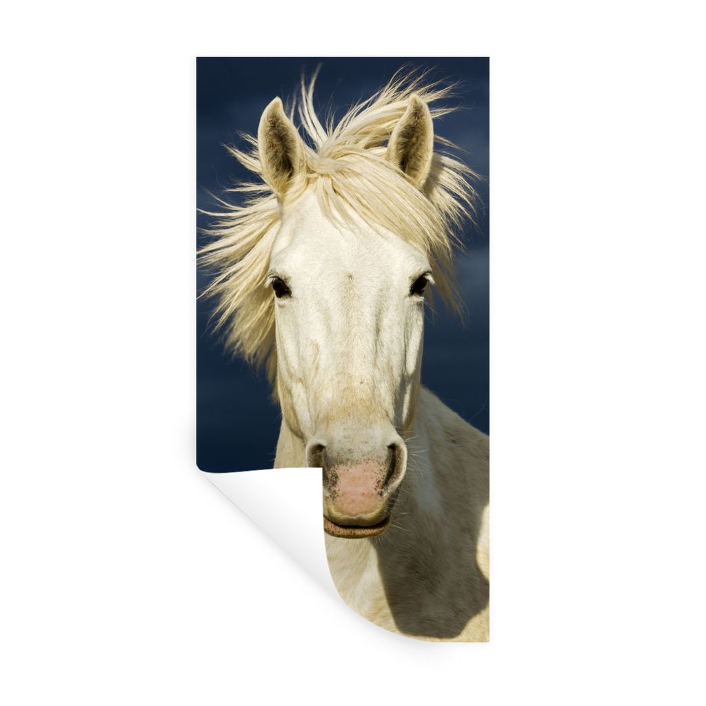 MuchoWow Wandtattoo Wandsticker Wandaufkleber Pferd in der Camargue 80x160 cm Selbstklebend und Repositionierbar - Sticker - Dekorfolie