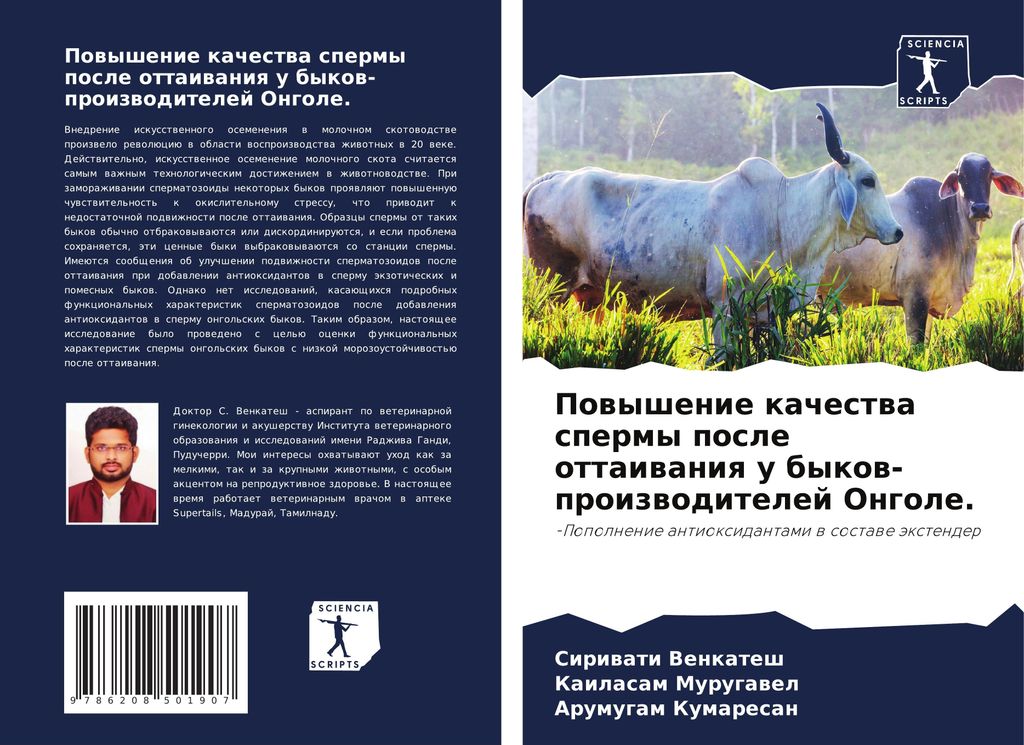 Powyshenie kachestwa spermy posle ottaiwaniq u bykow-proizwoditelej Ongole.