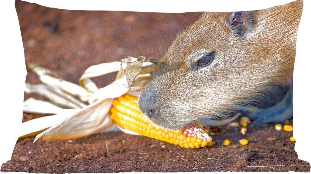 MuchoWow Zierkissen Sofakissen Wohnzimmer Dekokissen 50x30 cm Eine Nahaufnahme eines Wasserschweins beim Fressen - Wohnzimmerdekoration - Polster...