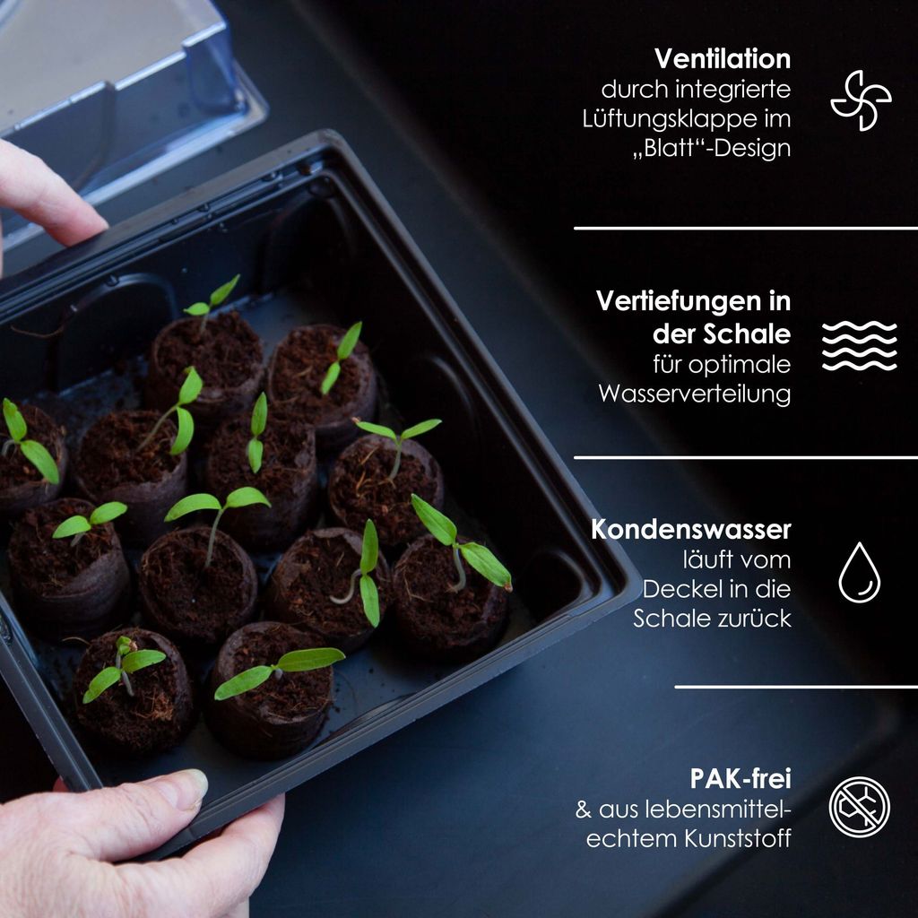 HappySeed Gewächshaus mit 12 Kokos Quelltabletten - Zur Produktbild 4
