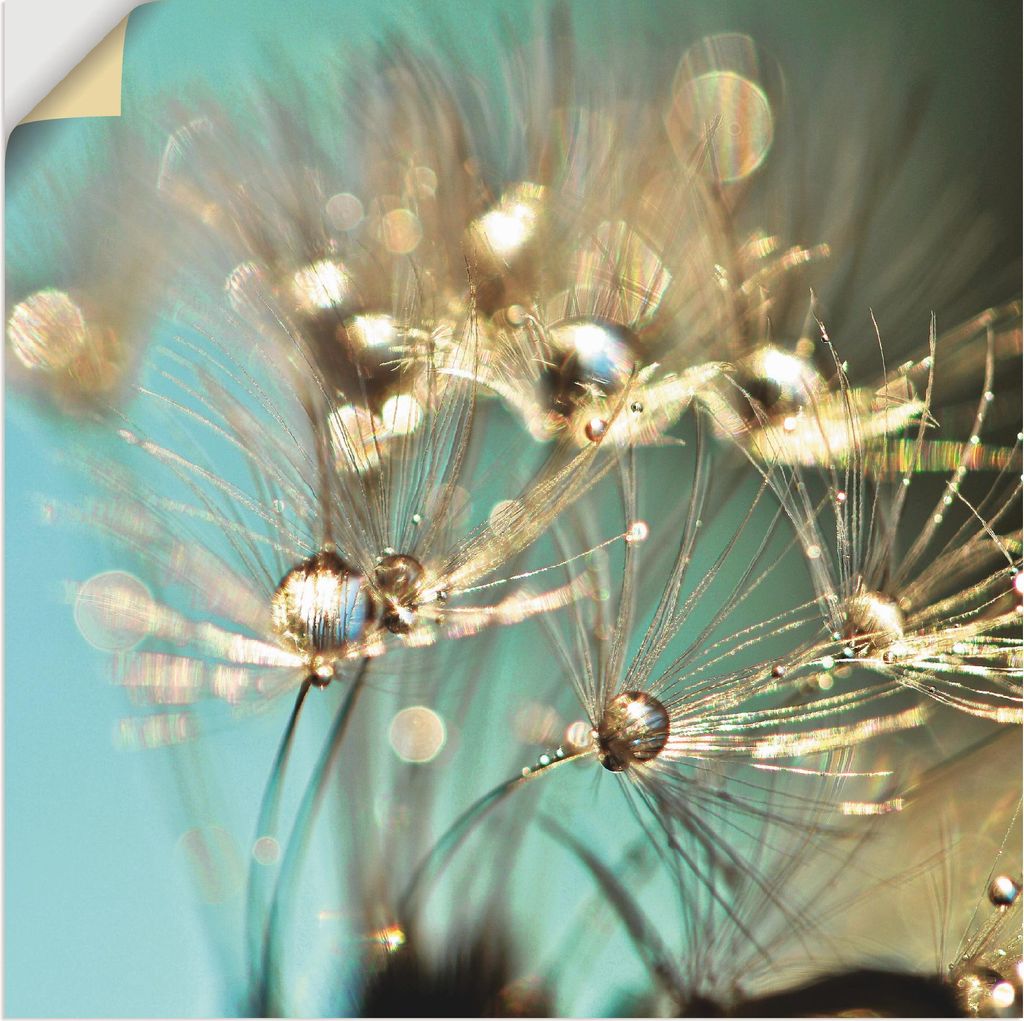 ARTland Wandbild, selbstklebend Pusteblume glänzendes Gold Größe: 50x50 cm