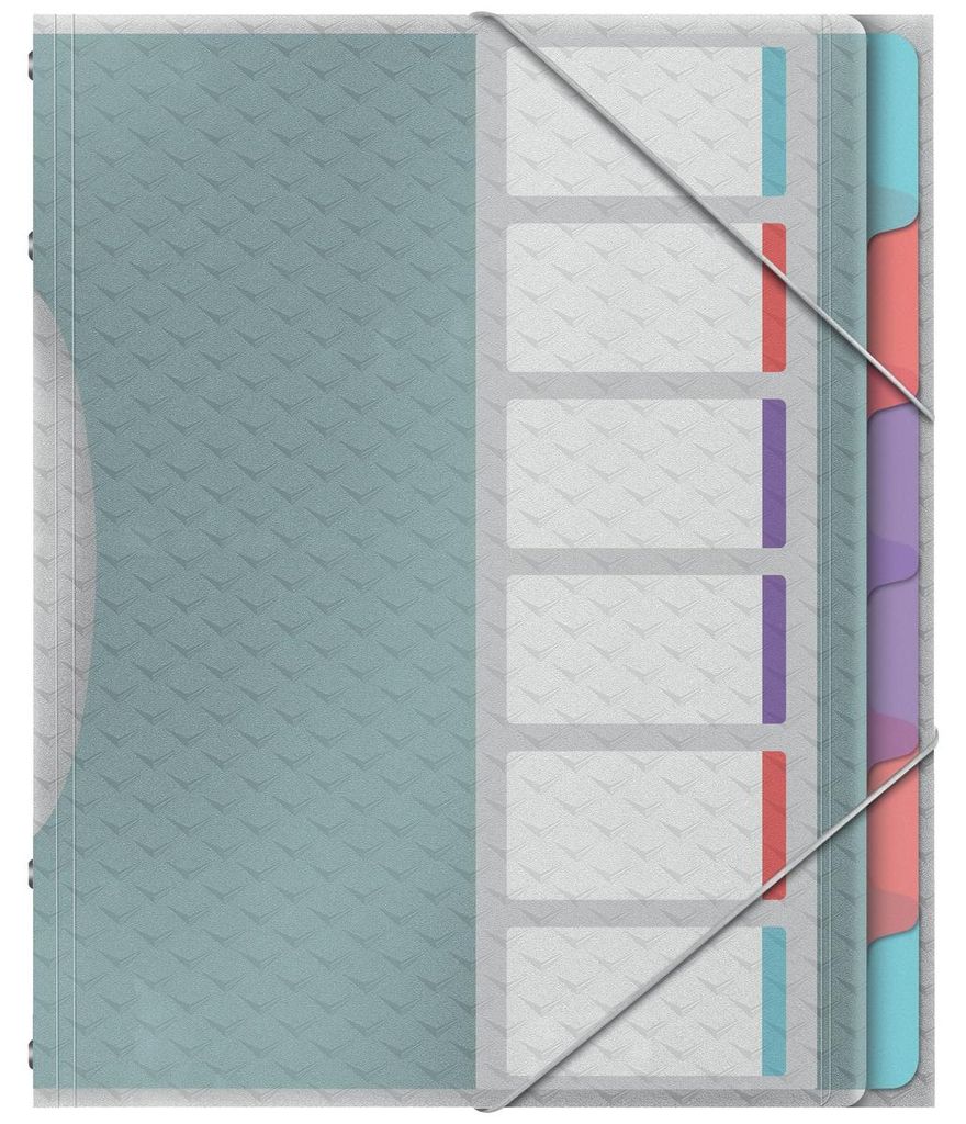 Esselte Ordnungsmappe Colour'Ice A4 PP 6 Fächer