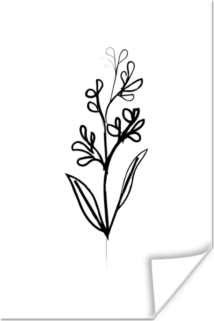 MuchoWow Poster Blume - Pflanze - Strichzeichnung 40x60 cm - Plakate für die Wand - Poster Babyzimmer