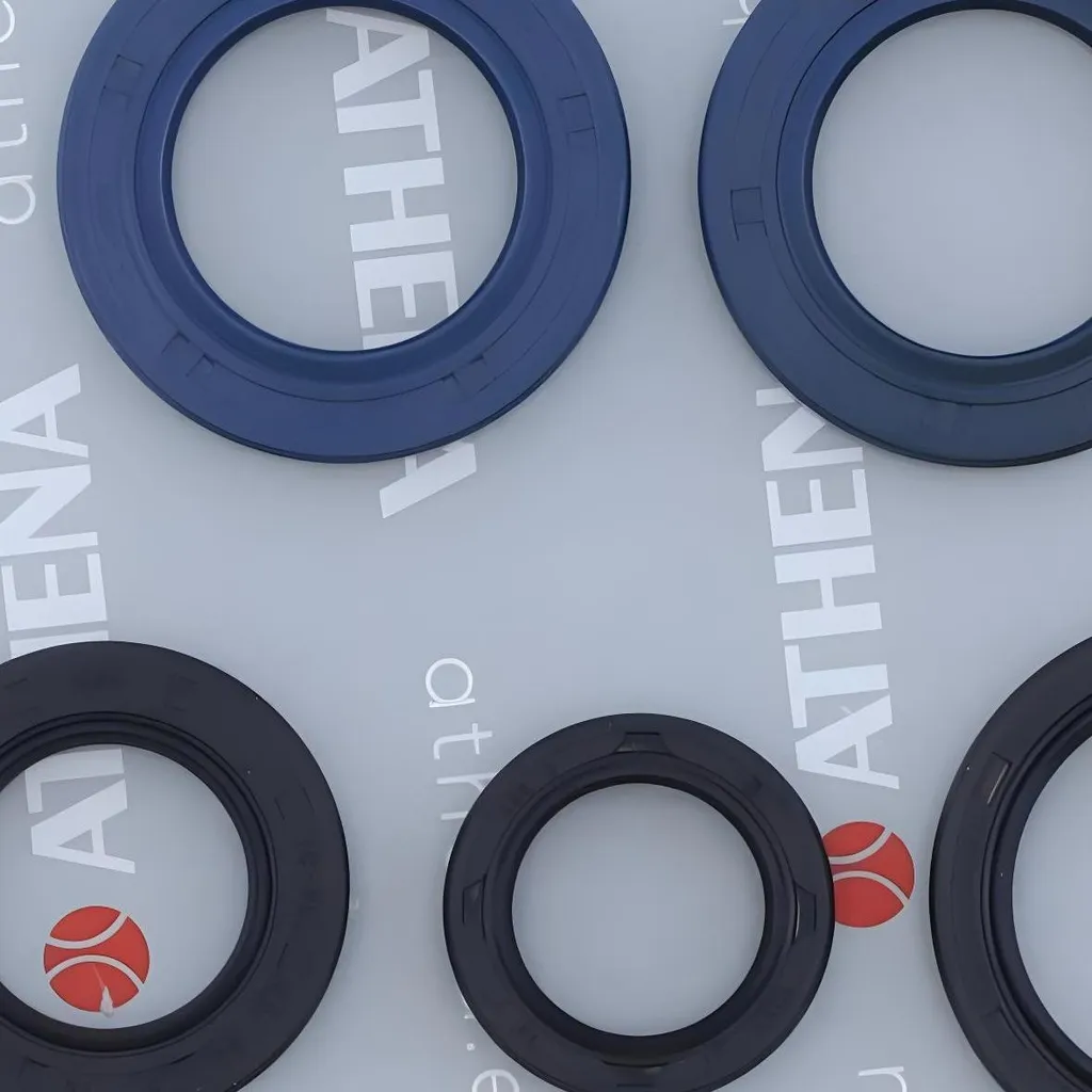 Kit joints moteur Rotax 504 idéal pour réfection et maintenance