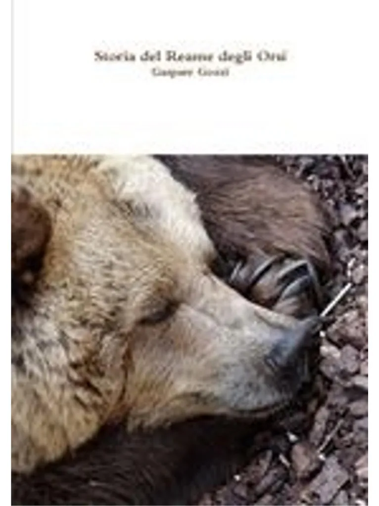 Histoire du Royaume de l'Ours - Livre du soir idéal pour s'endormir