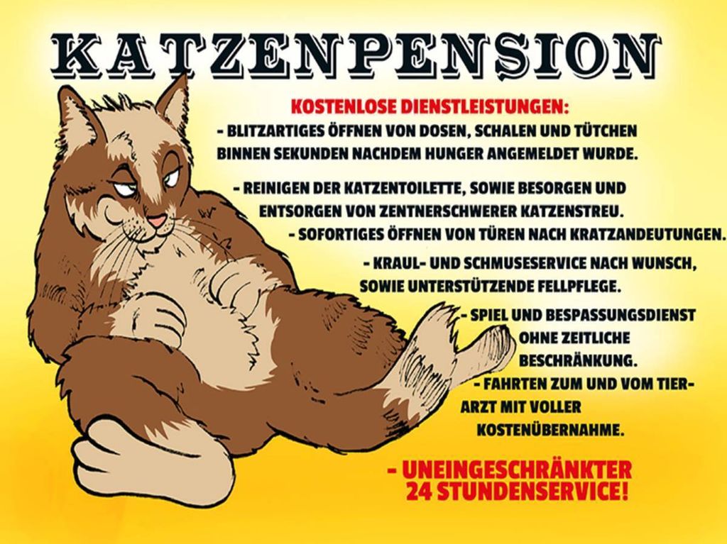 vianmo Holzschild 30x40 cm Katzenpension 24h Service