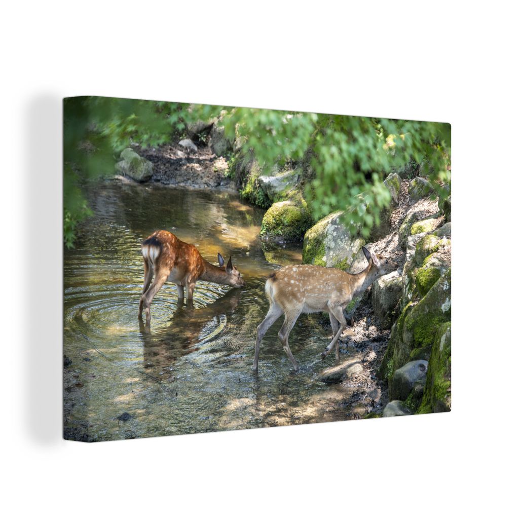 OneMillionCanvasses - Leinwandbilder - 140x90 cm, Hirsche - Steine - Moos - Wasser, Wandbilder Kunstdruck Wanddekoration