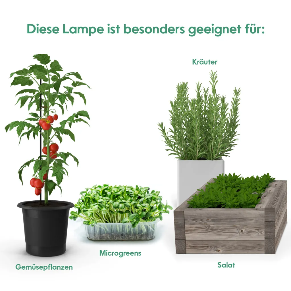 Éclairage pour Plantes d'Intérieur Parus E27 Spectre Complet LED 15W - 7