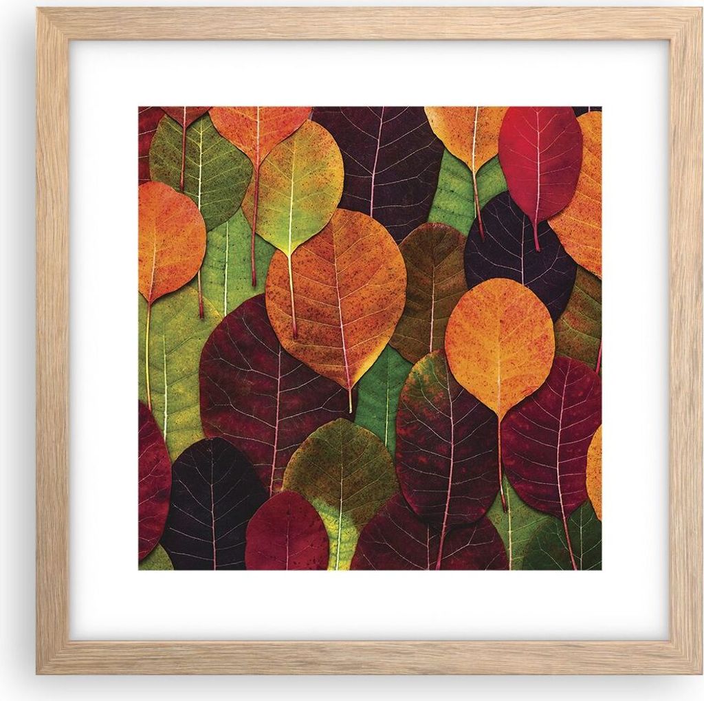 Gerahmtes Poster - Rahmen in heller Eiche - Herbst Blätter Grafiken - 30x30 cm - Wand Bild - Wanddeko - Wandbilder - Kunstposter - Wandposter - Bi...