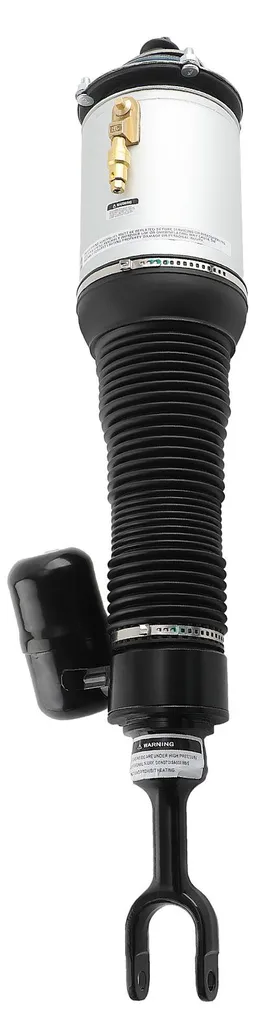 Réparation Suspension Pneumatique : Jambe de Force 32cm Réglable 2MPa - 4