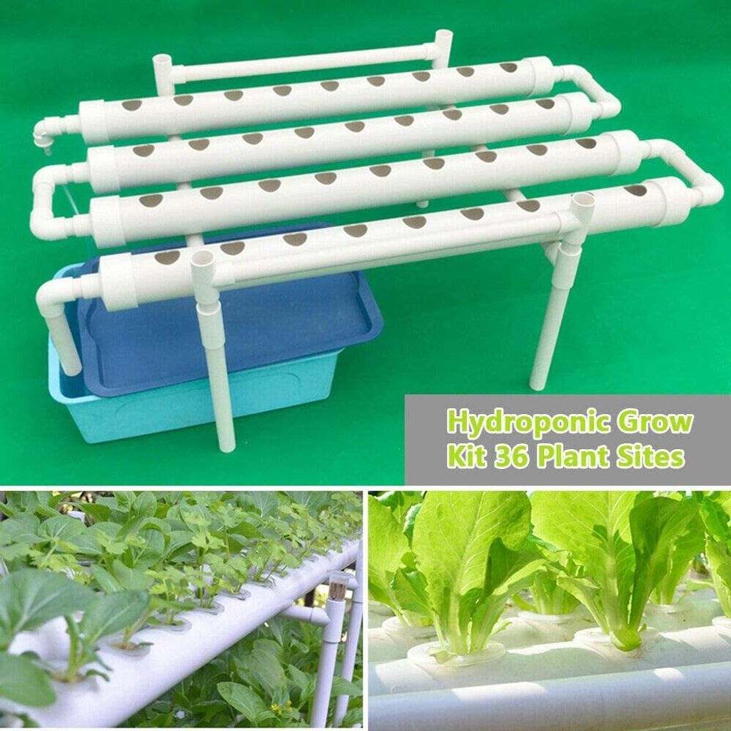 Hydroponic Grow Kit 1 Layer 36 Standorte 4 Rohr PVC Hydroponische Soilless-Kultivierung Gemüsepflanze Wachsen Kit
